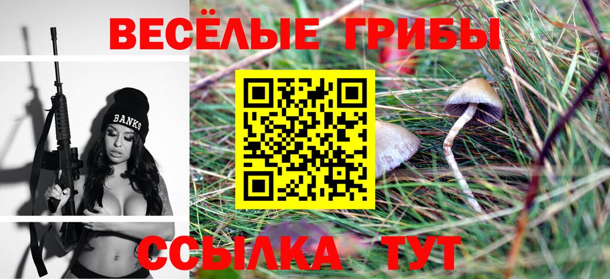 Галлюциногенные грибы MAGIC MUSHROOMS Нижнекамск
