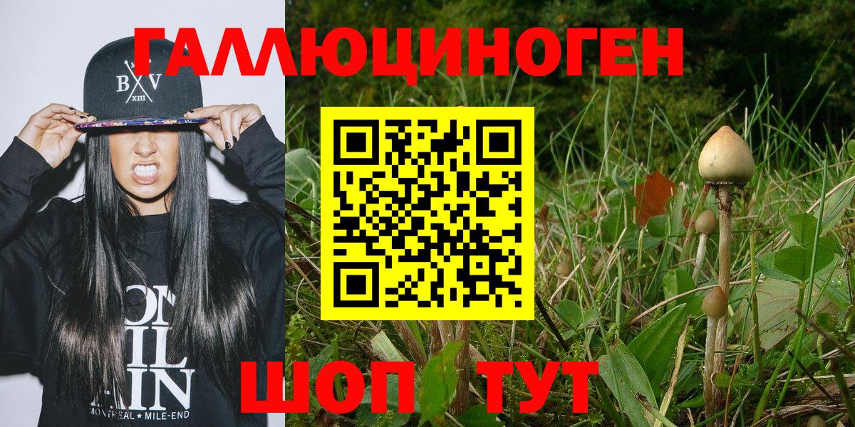 Псилоцибиновые грибы мухоморы  Вход с VPN  Нижнекамск  Галлюциногенные грибы Cubensis 